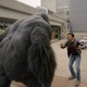 Illustration for article titled Barack Obama meeting Gorilla Grodd is just the beginning of what makes iLegends Of Tomorrow/i great